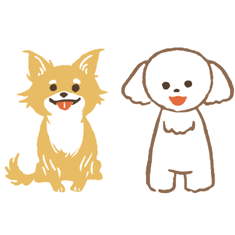 サロンに緊張してしまう子